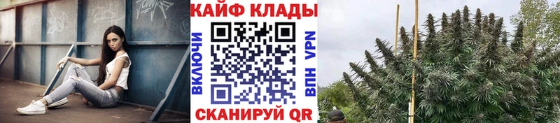 Купить Alpha PVP  Мефедрон  Баксан