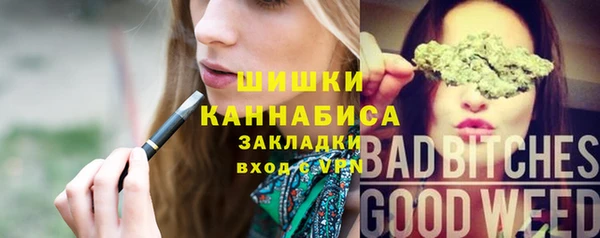 стаф Дмитров