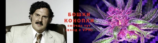 мдпв Гусев