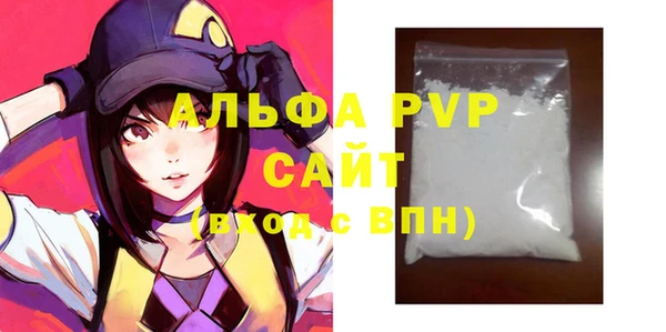 мдпв Гусев