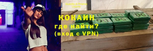 мдпв Гусев