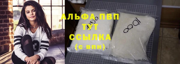 стаф Дмитров