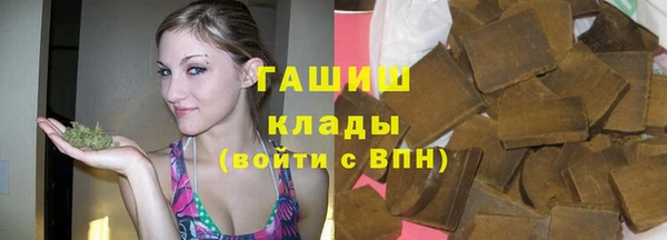 стаф Дмитров