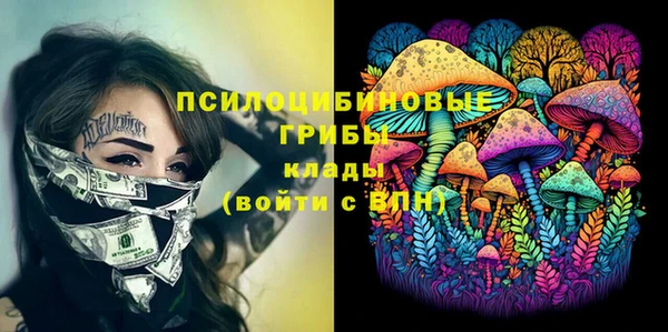 мдпв Гусев