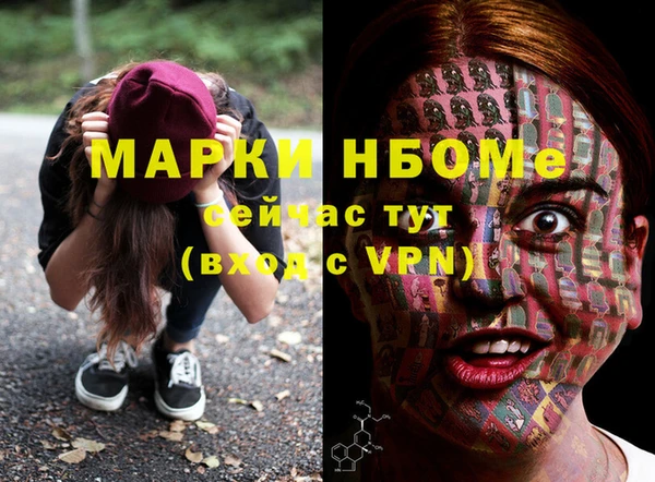 мдпв Гусев
