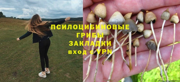 мдпв Гусев