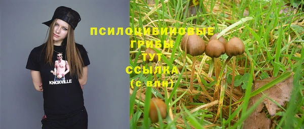 мдпв Гусев
