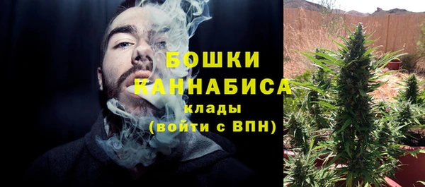 эйфоретик Дмитриев