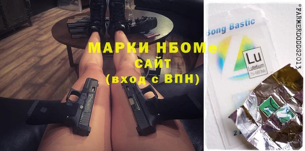 мдпв Гусев