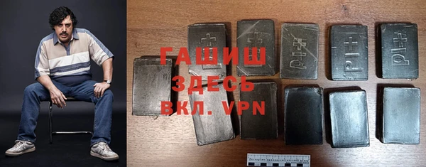 стаф Дмитров