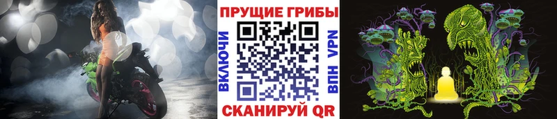 Галлюциногенные грибы ЛСД  Купить  Баксан 